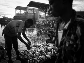 Stonetown - Old Dhow Harbour