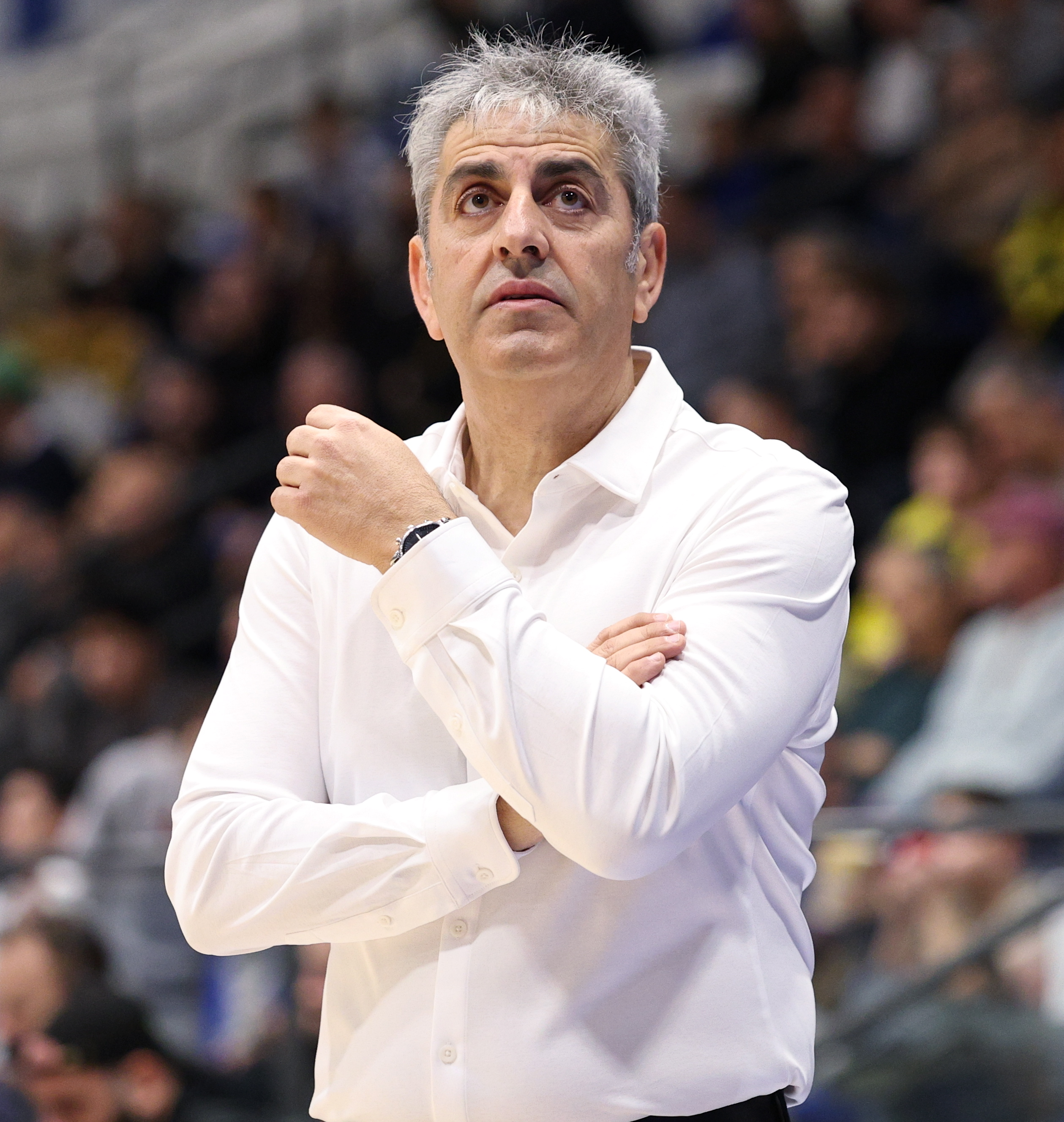 עתיר הנסיון. בכדורסל נשים. צילום: אלן שיבר, באדיבות ליגת ווינר סל
