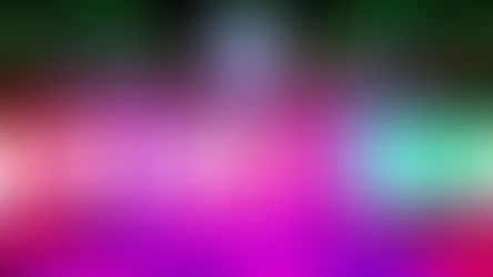 נכון או לא נכון: גרסת נבחרת ישראל