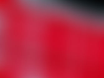 ביקור במיאמי: המשחק הראשון של אלמוג, ההצגה של דני והזכרון מאלונזו מורנינג