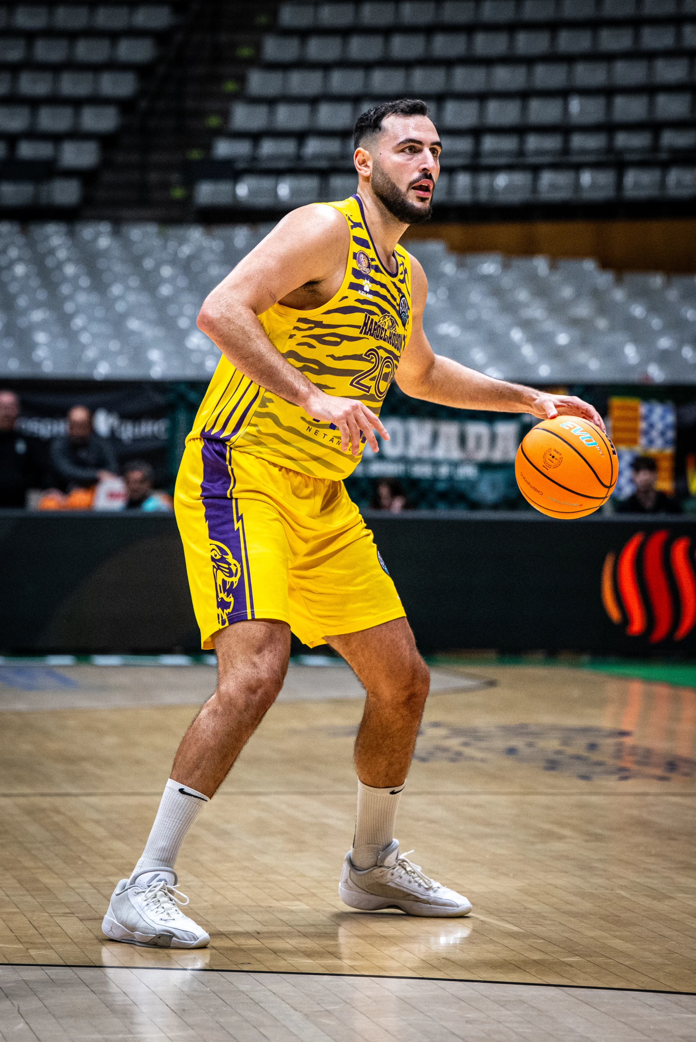היידה זלי. צילום: FIBAL.BASKETBALL