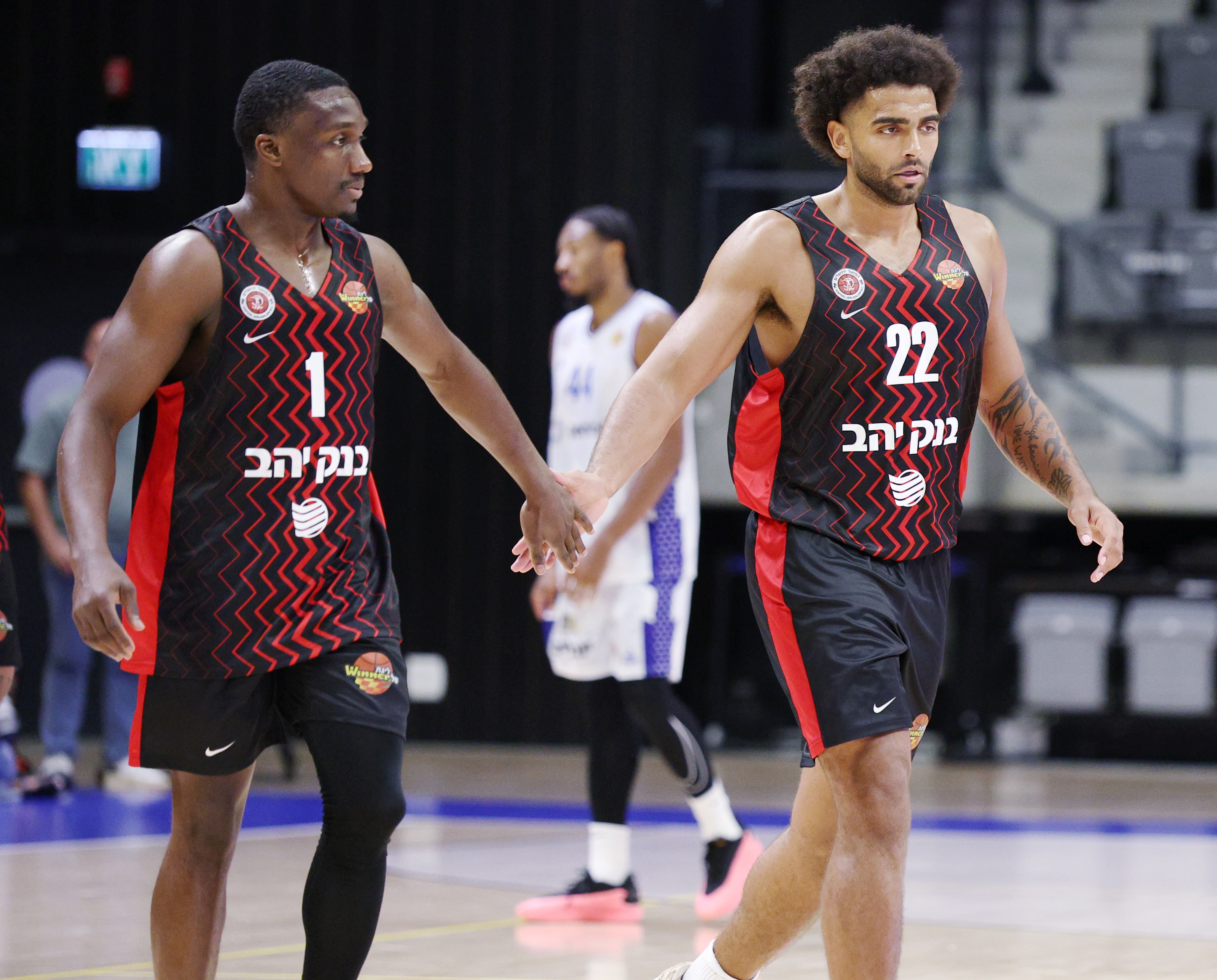 מתאים לדי.אן.איי המתלחם וזכתה במפעל הפיס. לאמב והארפר. צילום: אלן שיבר, ליגת ווינר סל