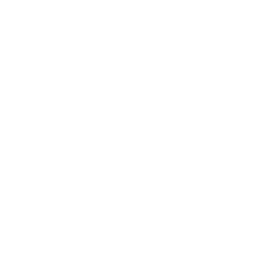 Thin Zebra Stripes Black