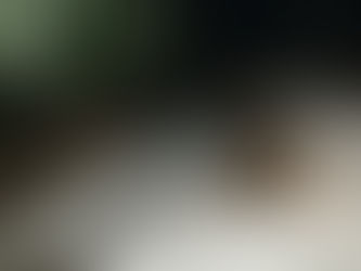 Current Punjab Earthquake