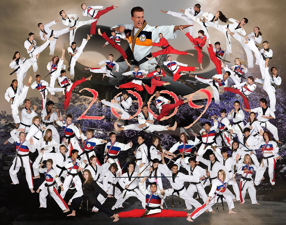 Black Belt Poster
