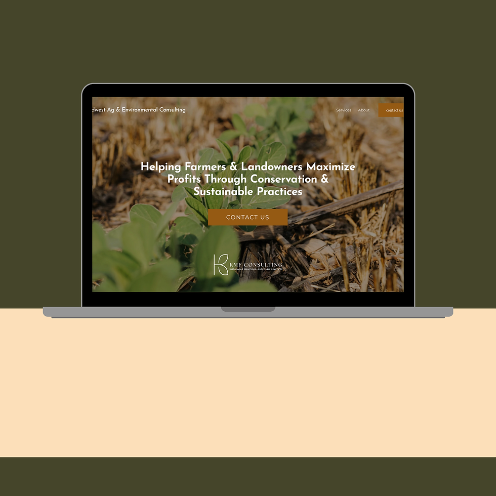 A Preview of KMF Consulting's website project