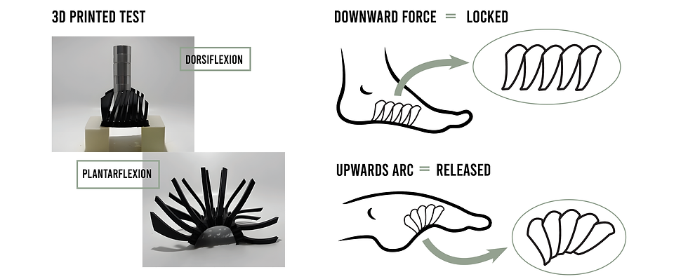 ARC Flow7.png