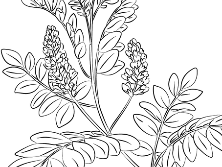 Mise en ligne de mon nouveau site internet