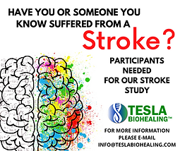 _STROKE (1).png