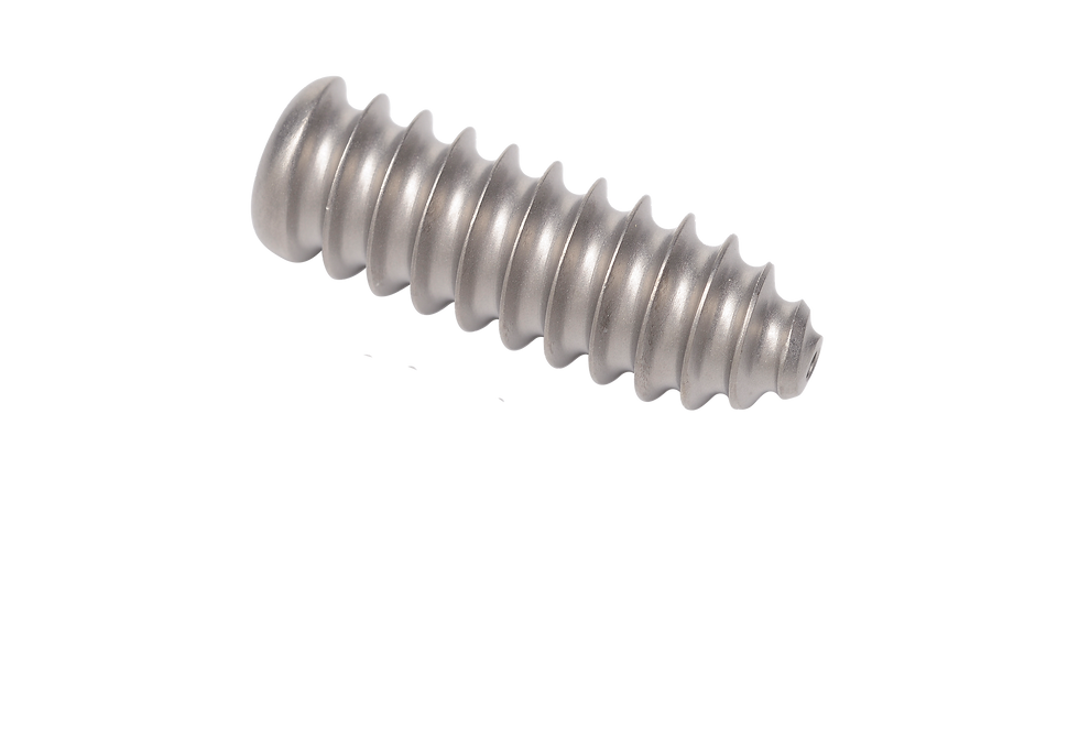 11-titanium-interference-screws singular