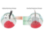 5-MicroVSNano_croped