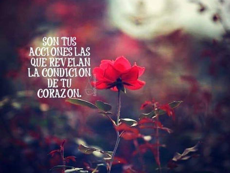 ¿TE RESISTES? 