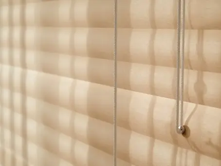 what are cordless mini blinds