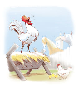 La queue du coq