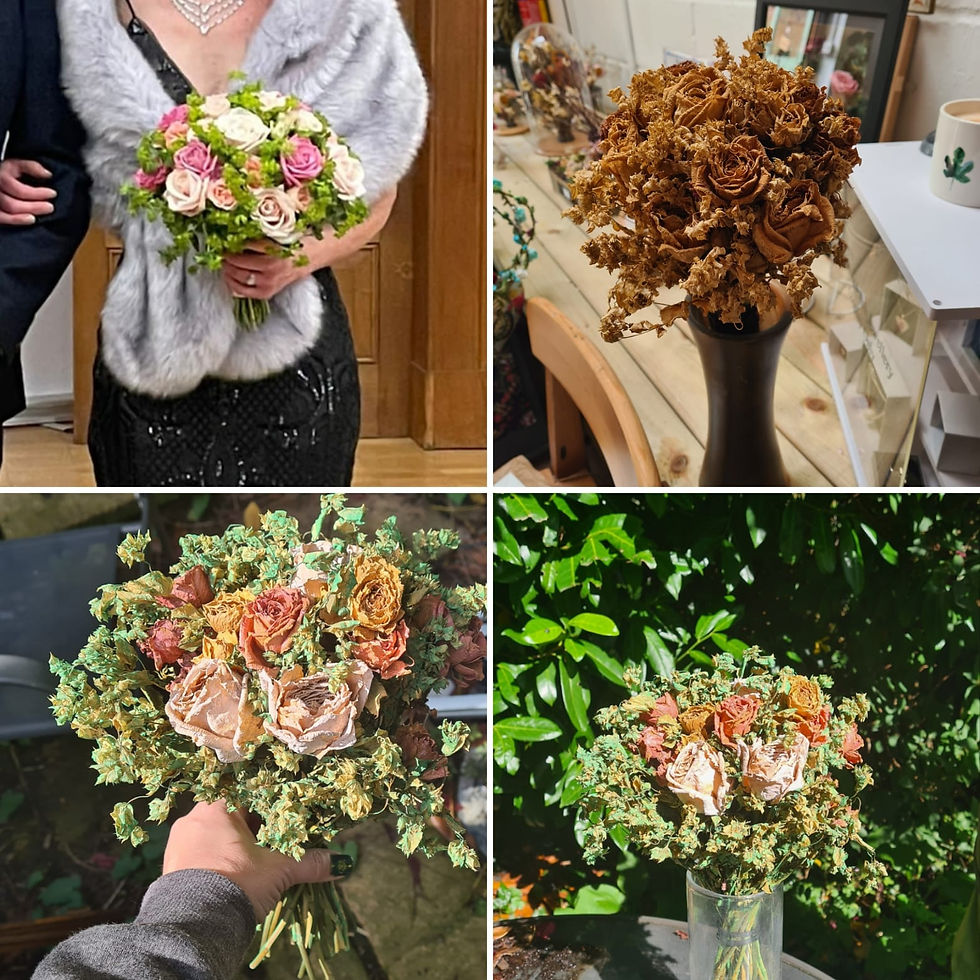 colour preserved flowers