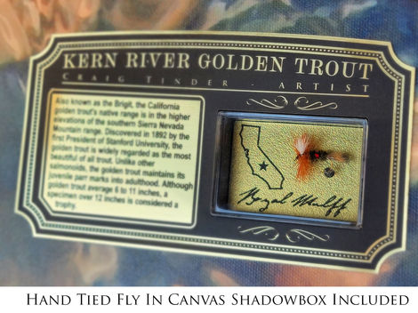 Kern Golden Trout 7
