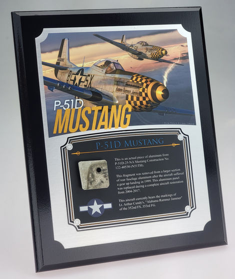 8x10-P-51-2