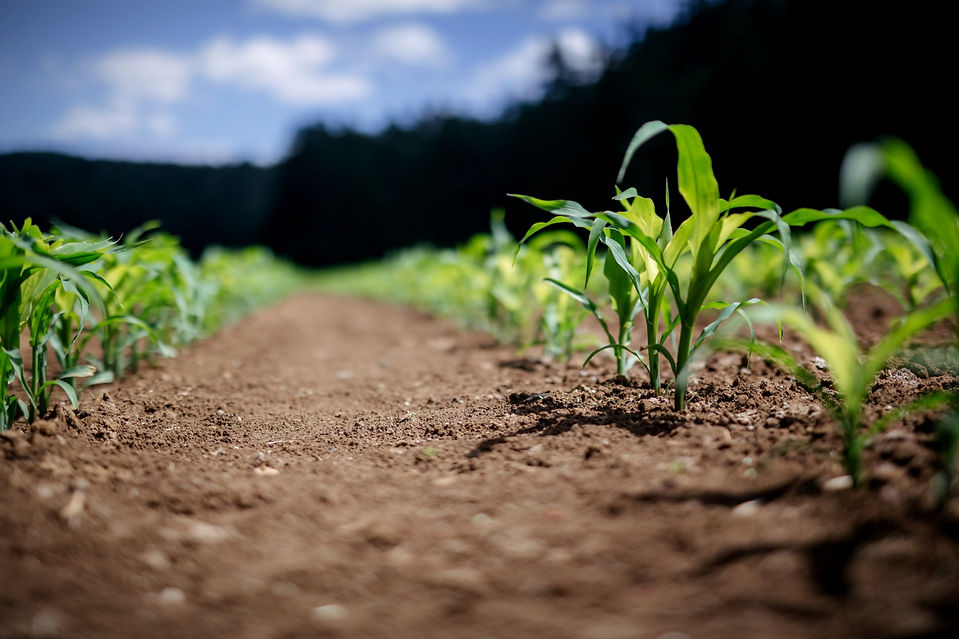 adrian-infernus-BN6iQEVN0ZQ-unsplash_edi