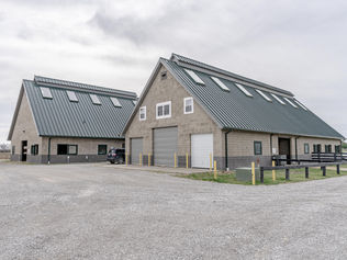 Lettleiki Icelandics - Shelbyville, KY