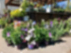 Albeni Falls Building Supply