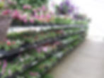 Albeni Falls Building Supply