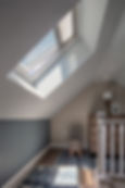 Windows & Skylights