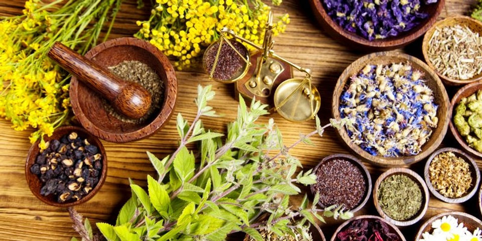 Naturopathy-sYDNEY.jpg