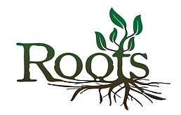 CCA roots