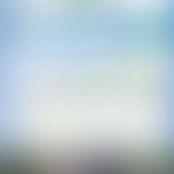 Schilddrüse und Nebenschilddrüsen im Fokus: