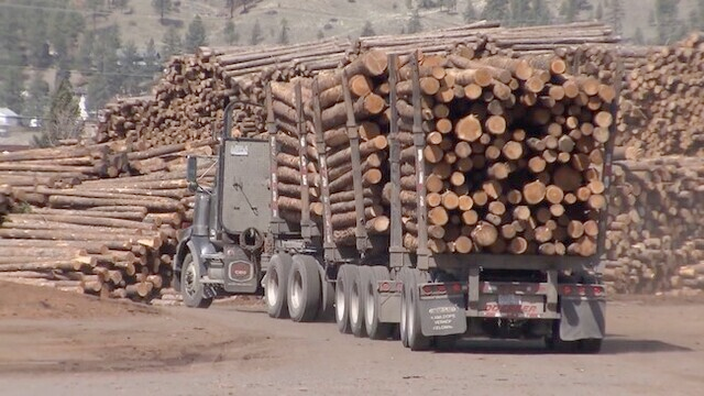 Logging truck and lots of logs in BC