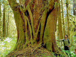 Fair Conservation Compensation Needed