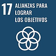 17-alianzas-para-lograr-los-objetivos-3.jpg