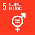 5-igualdad-de-genero-3.jpg