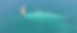 YCAN6023.PNG