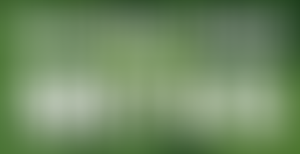 Desmentimos tres mitos medioambientales... ¡no te los pierdas!