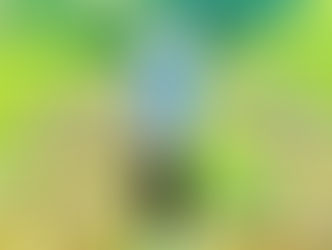 Stardust Alone「起爆性レモネード」各種サブスクにて配信開始! (2025.8.10 Release)