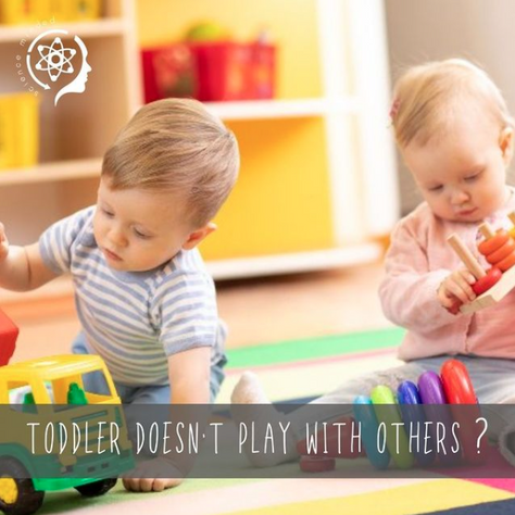 Toddler Doesn't Play With Others?
