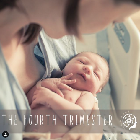 Fourth Trimester