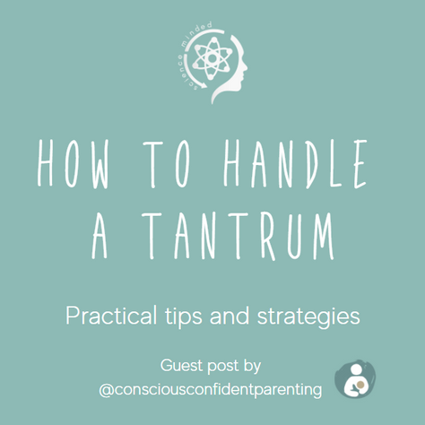 How to Handle a Tantrum