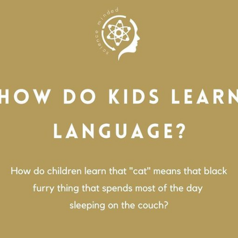 How do kids learn language?