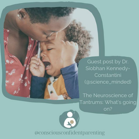 The Neuroscience of Tantrums