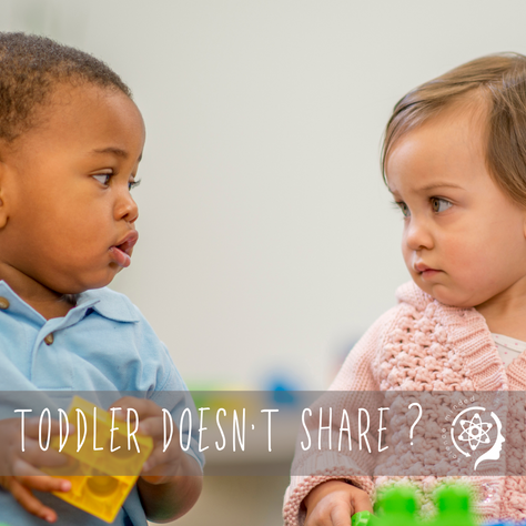 Sharing, turn-taking & snatching