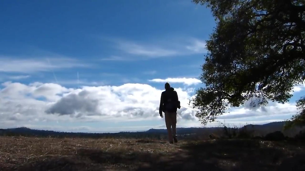 Miniature : Dream-Flight Libelle DLG kit