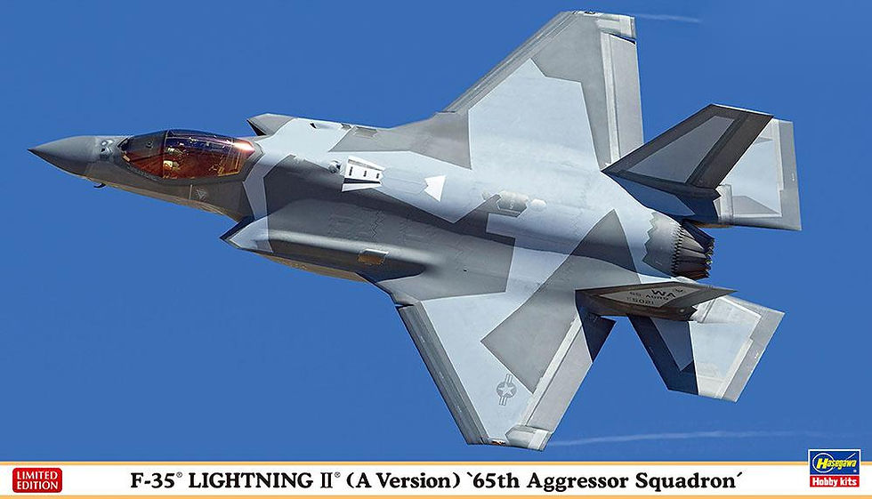 F-35® LIGHTNING II® (A Version) “65th Aggressor Squadron” HAS 02420