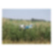 Miniature : MULTIPLEX FunCub NG RR BLEU 1-01526