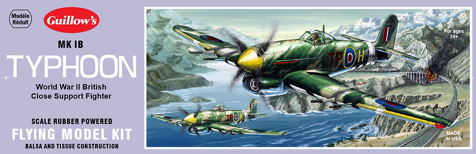 avion, bois, montage,