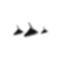 ICM AircraftModels Stands (Black Edition) ICMA002