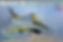 avion plastique montage france