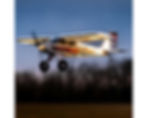 Miniature : Night Timber X Evolution 1,2 m BNF Basic avec AS3X+ et SAFE Select