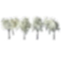 Arbres blancs pour maquettes d'architecture et diorama, 5 pces